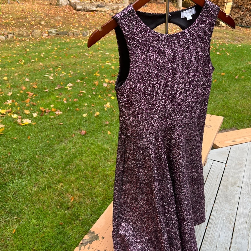 Disney D- Signed Elegant Purple Glitter Dress. 👗